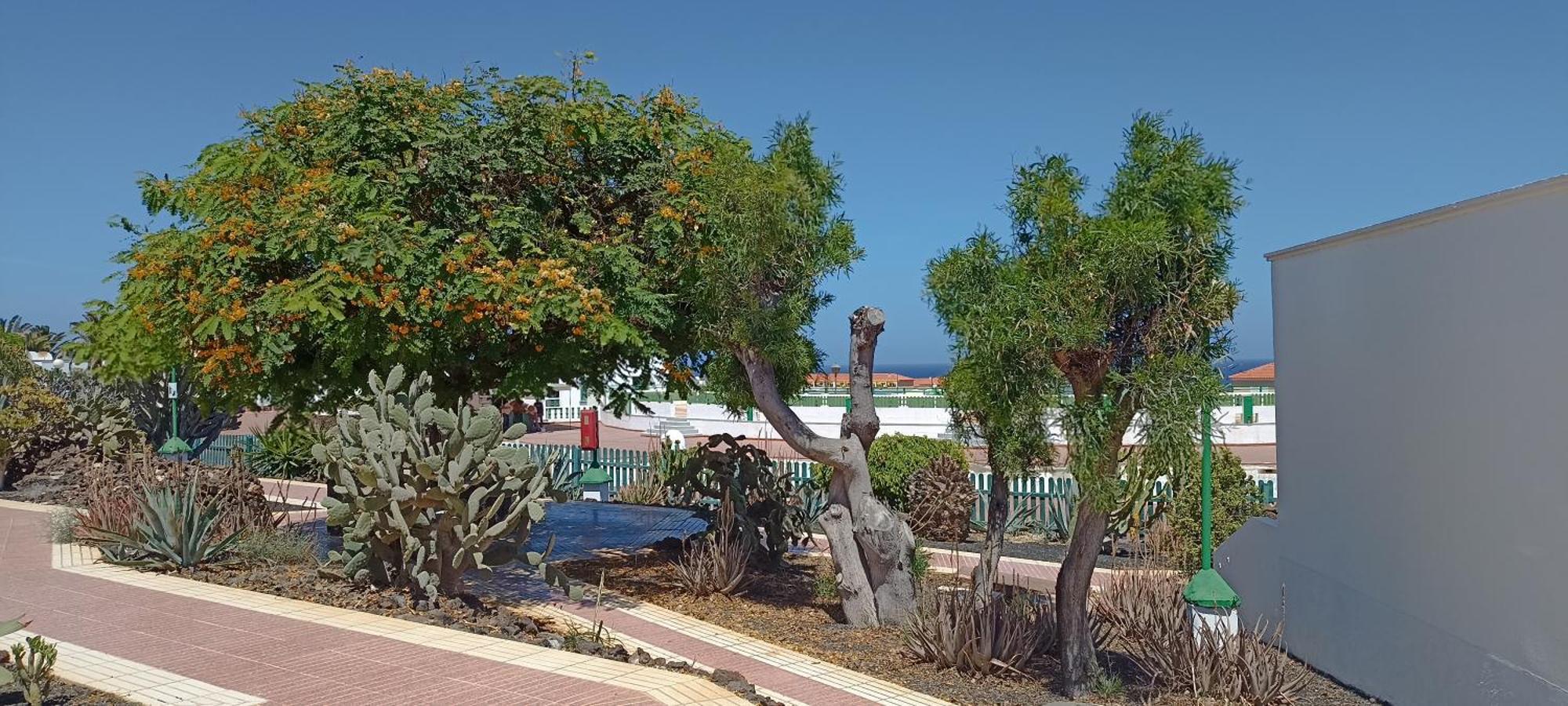 Casa Gioeli Cocosol Villa Costa De Antigua Exterior photo
